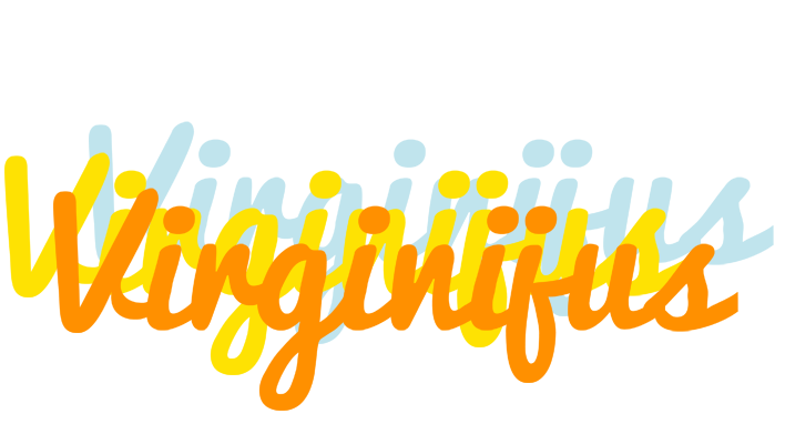 Virginijus energy logo