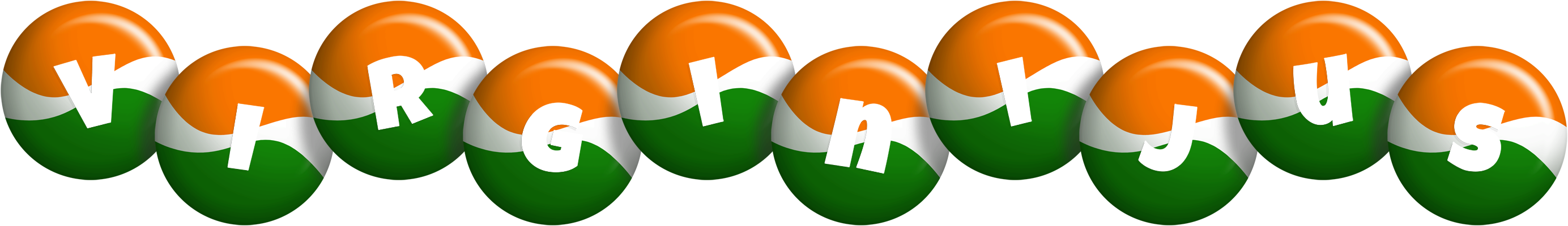 Virginijus india logo