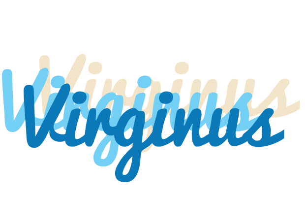 Virginus breeze logo