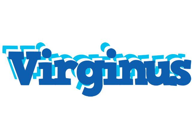 Virginus business logo
