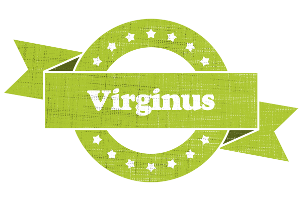 Virginus change logo