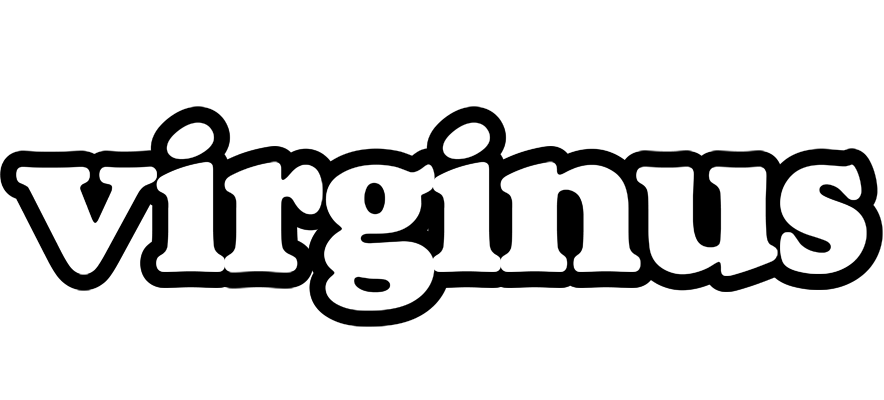 Virginus panda logo