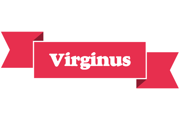 Virginus sale logo