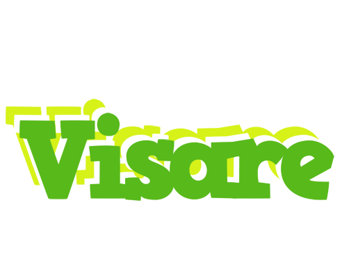 Visare picnic logo