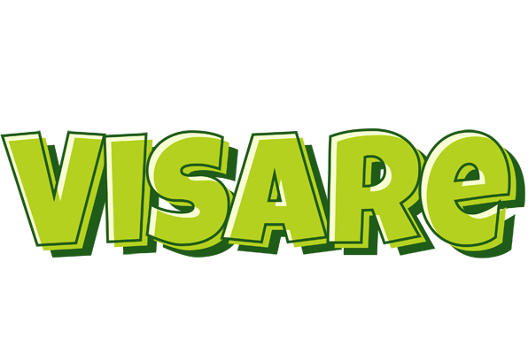 Visare summer logo