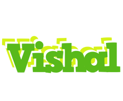 Vishal picnic logo