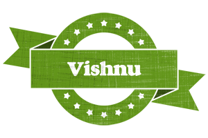 Vishnu natural logo