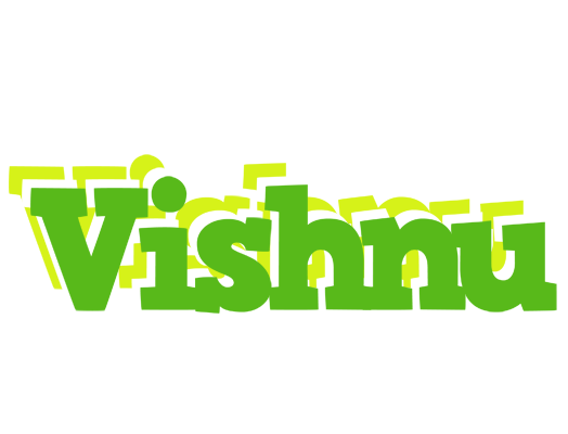 Vishnu picnic logo