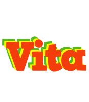 Vita bbq logo