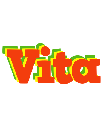 Vita bbq logo