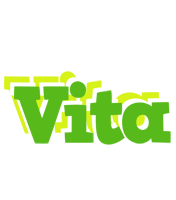 Vita picnic logo