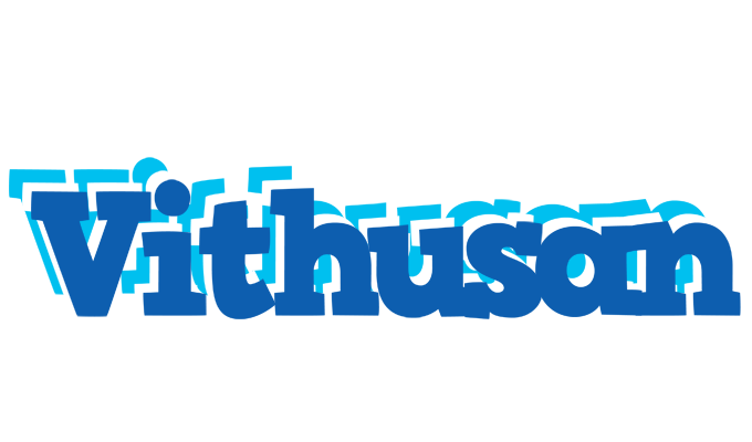 Vithusan business logo
