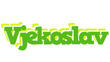 Vjekoslav picnic logo