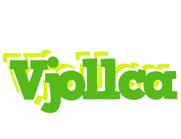 Vjollca picnic logo