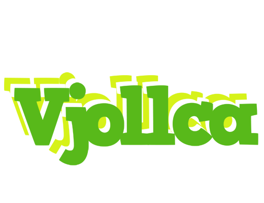 Vjollca picnic logo