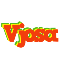 Vjosa bbq logo