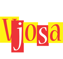 Vjosa errors logo