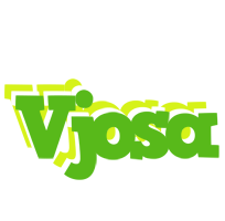 Vjosa picnic logo