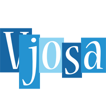 Vjosa winter logo