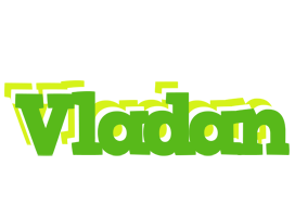 Vladan picnic logo