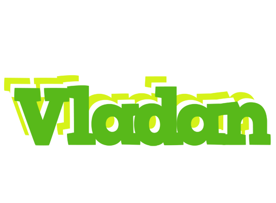 Vladan picnic logo