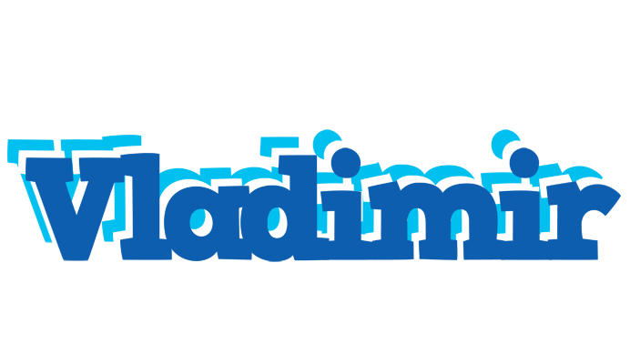 Vladimir business logo