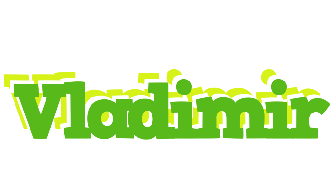 Vladimir picnic logo