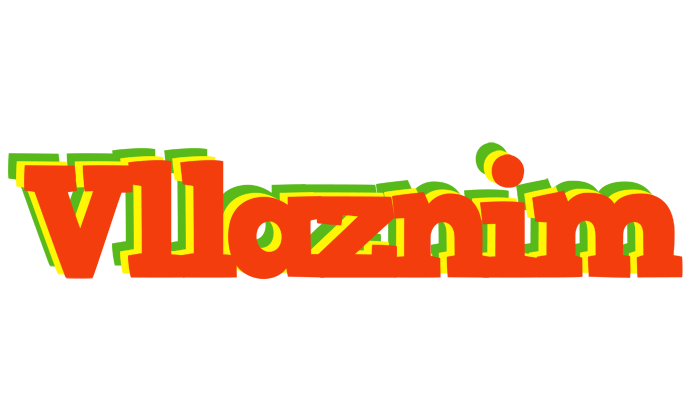Vllaznim bbq logo