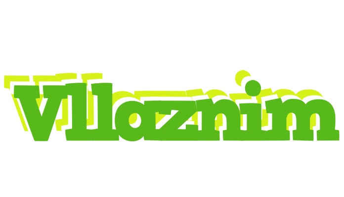 Vllaznim picnic logo