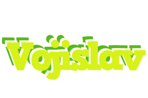 Vojislav citrus logo