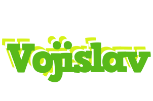 Vojislav picnic logo