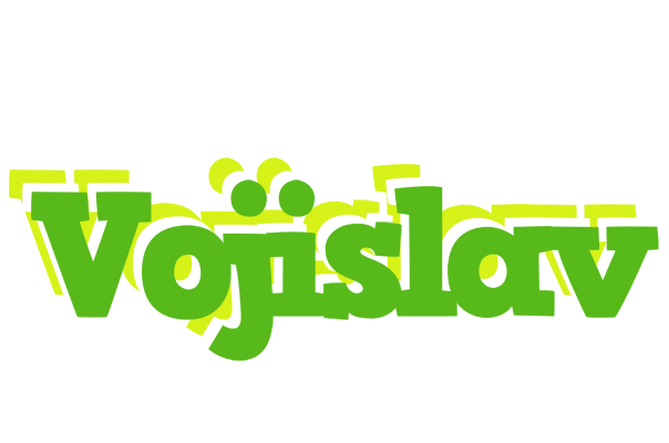 Vojislav picnic logo