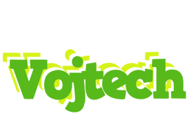 Vojtech picnic logo