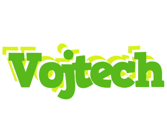 Vojtech picnic logo
