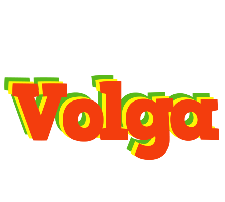 Volga bbq logo