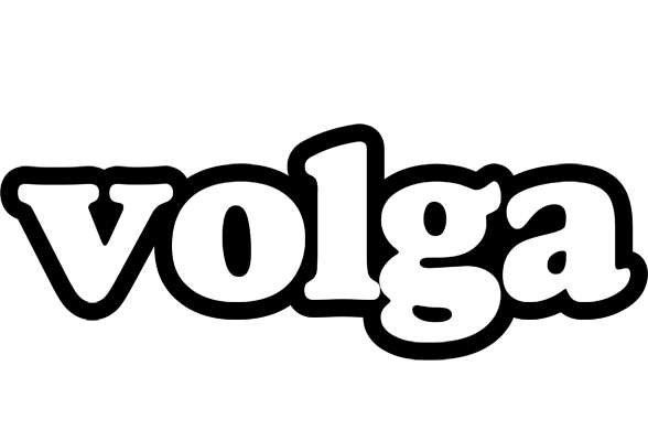Volga panda logo