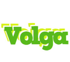 Volga picnic logo