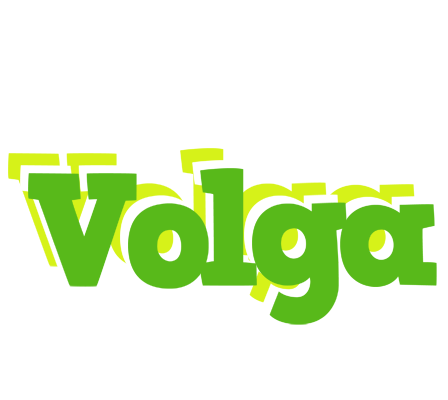 Volga picnic logo