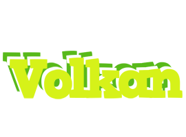 Volkan citrus logo