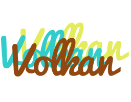 Volkan cupcake logo