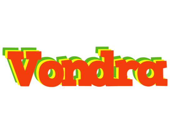 Vondra bbq logo