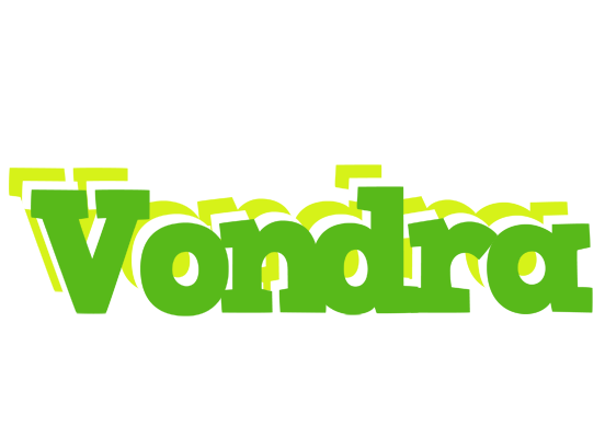 Vondra picnic logo