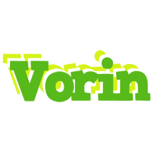 Vorin picnic logo