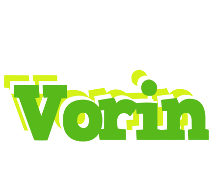 Vorin picnic logo