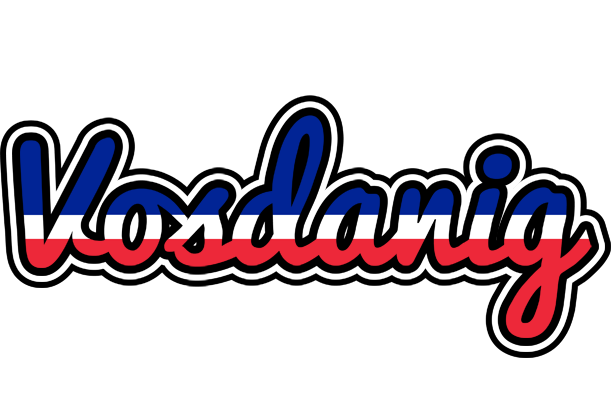 Vosdanig france logo