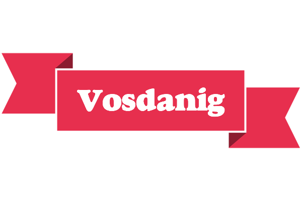 Vosdanig sale logo