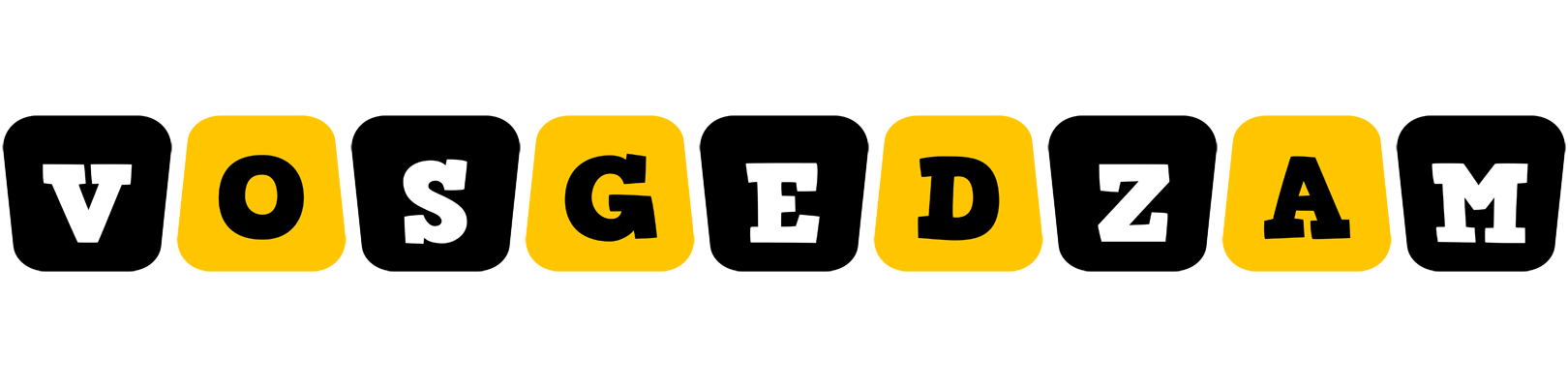 Vosgedzam boots logo