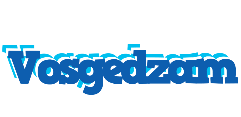 Vosgedzam business logo