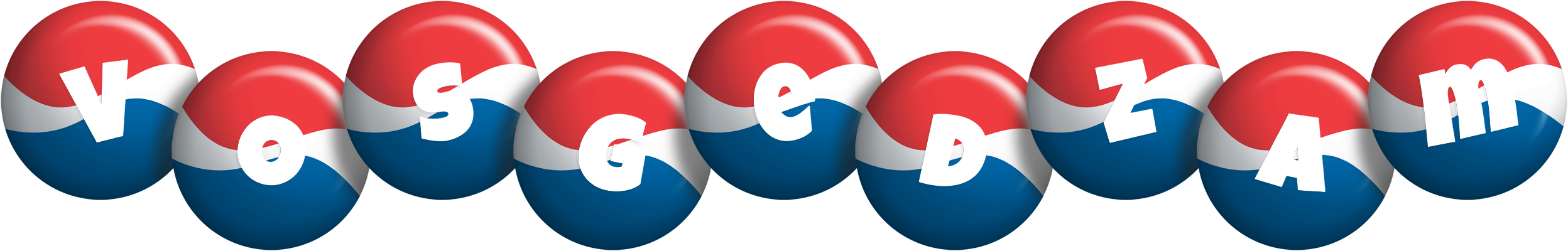 Vosgedzam paris logo