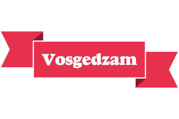 Vosgedzam sale logo